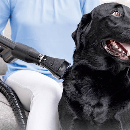 Rainbow Pet Grooming Tool